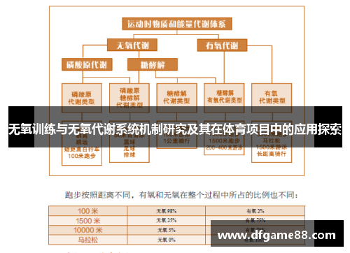 无氧训练与无氧代谢系统机制研究及其在体育项目中的应用探索
