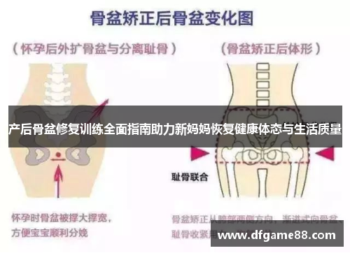 产后骨盆修复训练全面指南助力新妈妈恢复健康体态与生活质量