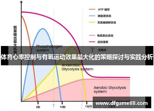 体育心率控制与有氧运动效果最大化的策略探讨与实践分析