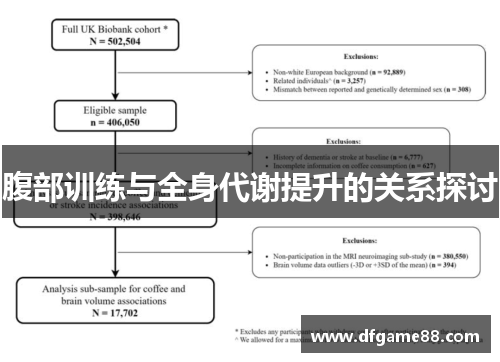 腹部训练与全身代谢提升的关系探讨